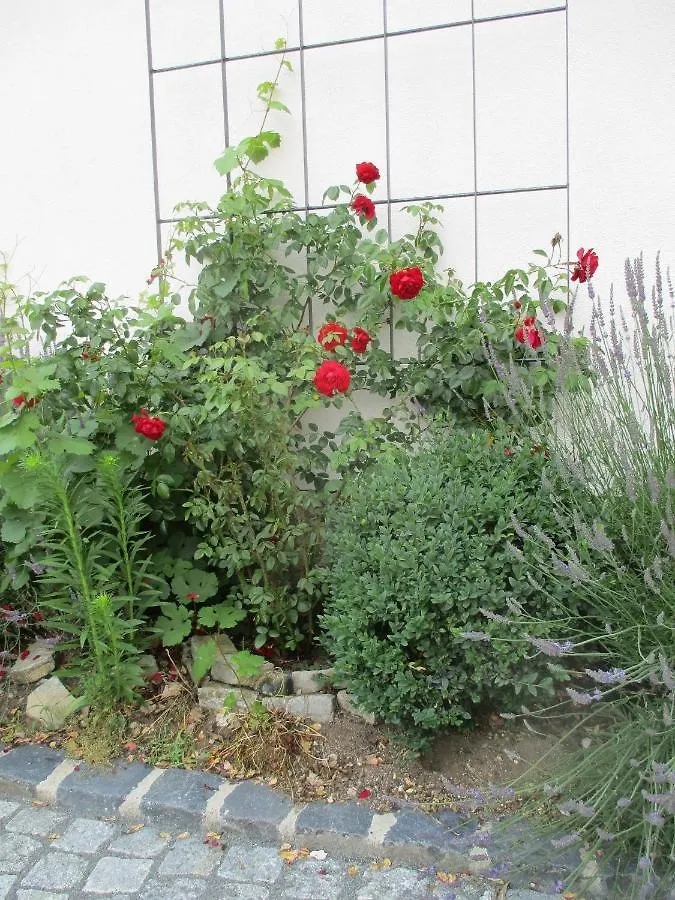 Ferienwohnung Haus Fink Volkach 0*,  Deutschland